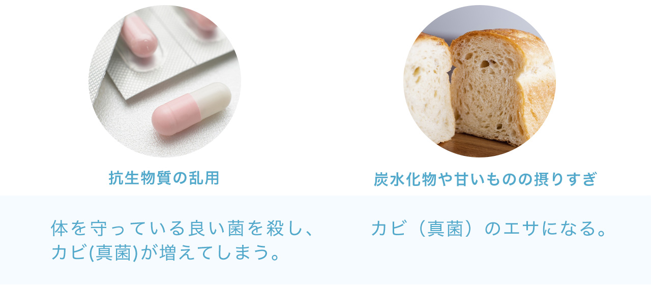 抗生物質の乱用:体を守っている良い菌を殺し、カビ(真菌)が増えてしまう。炭水化物や甘いものの摂りすぎはカビ（真菌）のエサになる。