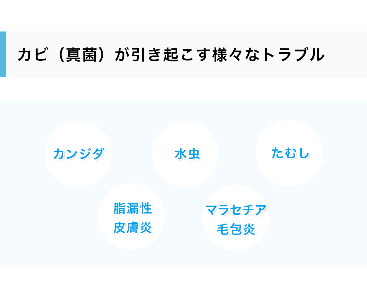 カビ（真菌）が引き起こす様々なトラブル：カンジタ、水虫、たむし、脂漏性皮膚炎、アラマセチア毛包炎