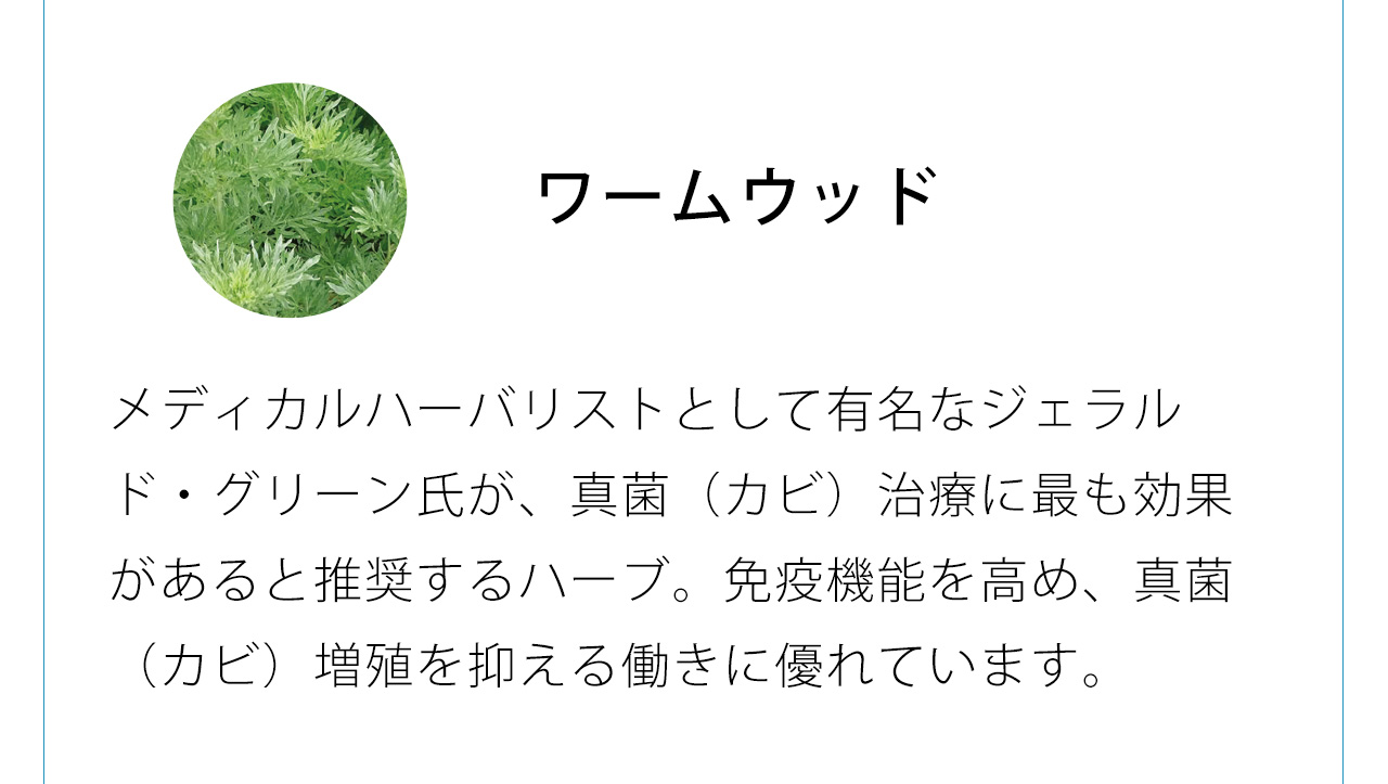 ワームウッドはメディカルハーバリストとして有名なジェラルド・グリーン氏が、真菌（カビ）治療に最も効果があると推奨するハーブ。免疫機能を高め、真菌（カビ）増殖を抑える働きに優れています