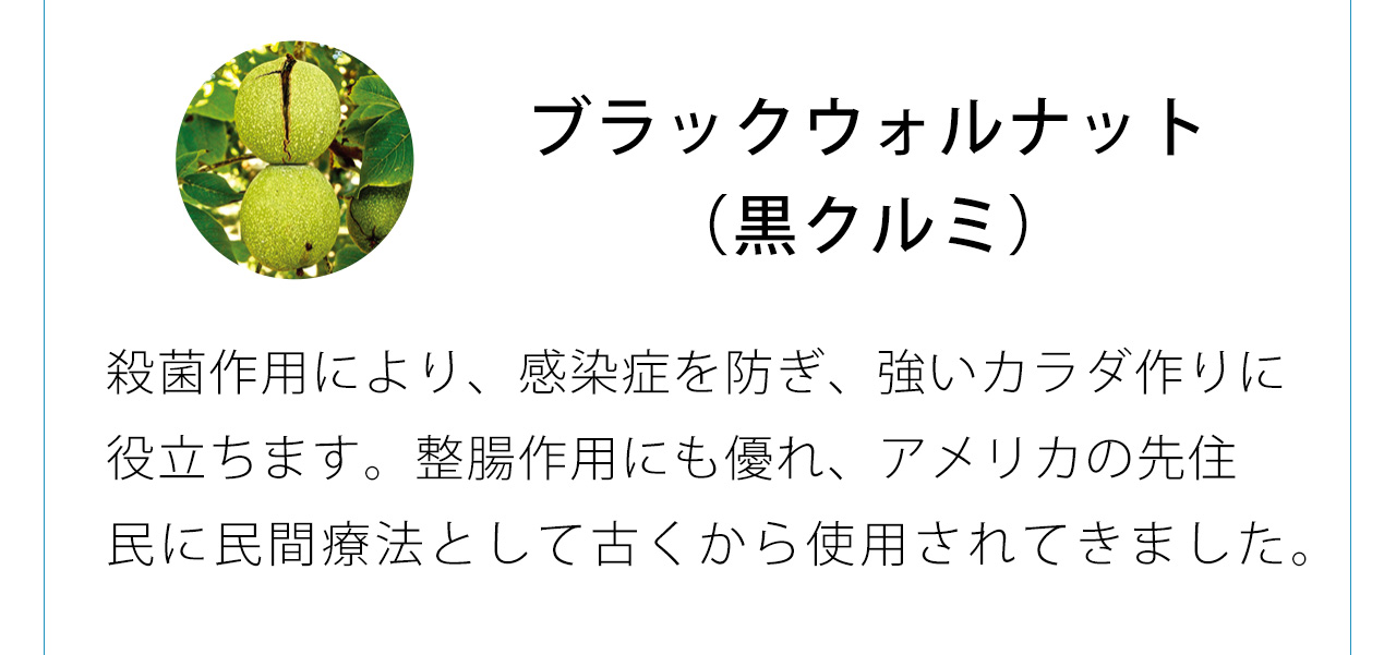 ブラックウォルナットは殺菌作用により、感染症を防ぎ、強いカラダ作りに役立ちます。整腸作用にも優れ、アメリカの先住民に民間療法として古くから使用されてきました