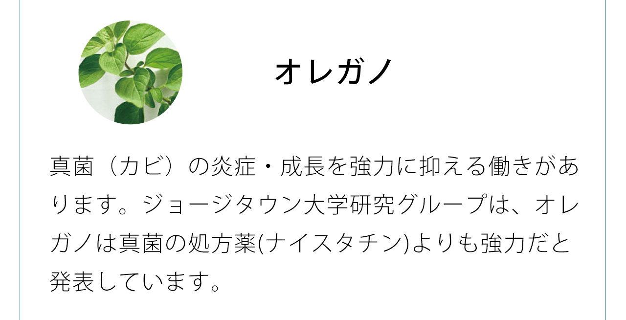オレガノは真菌（カビ）の炎症・成長を強力に抑える働きがあります。ジョージタウン大学研究グループは、オレガノは真菌の処方薬(ナイスタチン)よりも強力だと発表しています