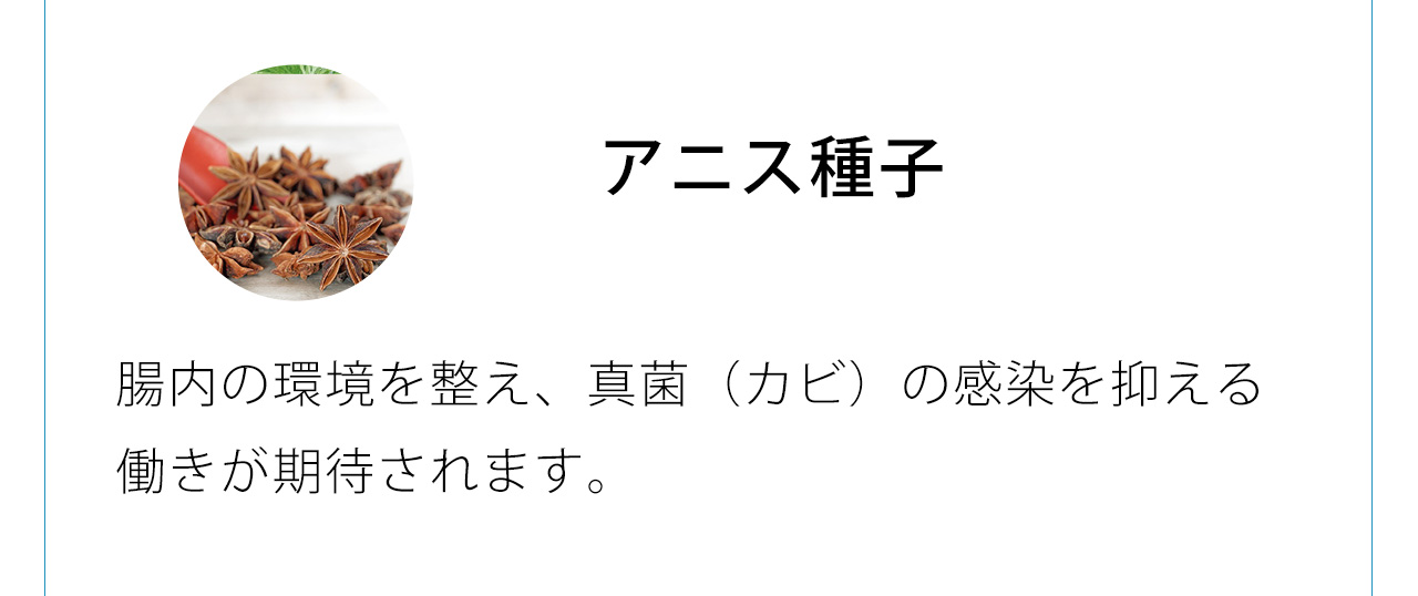 アニス種子は腸内の環境を整え、真菌（カビ）の感染を抑える働きが期待されます