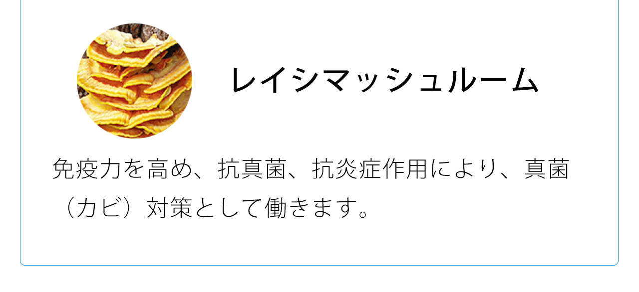 レイシマッシュルームは免疫力を高め、抗真菌、抗炎症作用により、真菌（カビ）対策として働きます