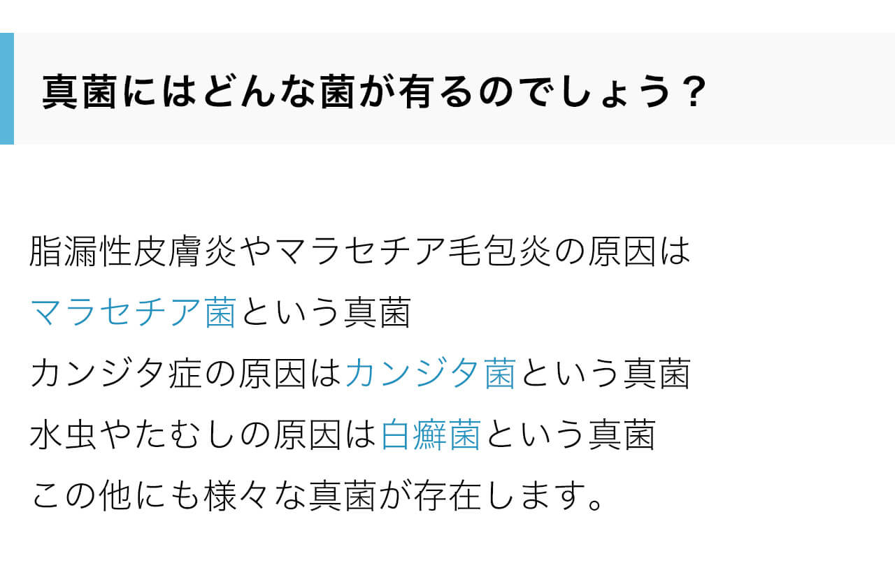 ドクターズチョイス ファンガクリア