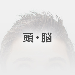 頭・脳
