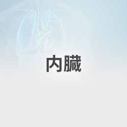 内蔵